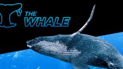 888poker afholder $500K Super Whale!