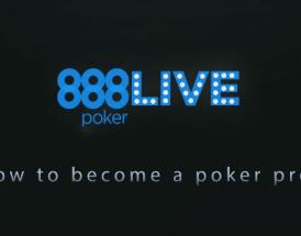 Sådan bliver du professionel pokerspiller - introduktion