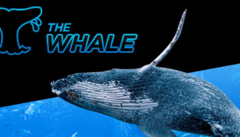 888poker afholder $500K Super Whale!